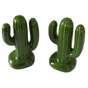 Vintage Ceramic Cactus Salt & Pepper Shakers- New